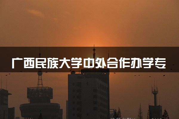 广西民族大学中外合作办学专业有哪些 好就业吗
