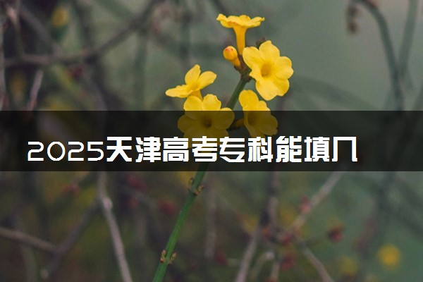 2025天津高考专科能填几个志愿 可以报几个学校和专业