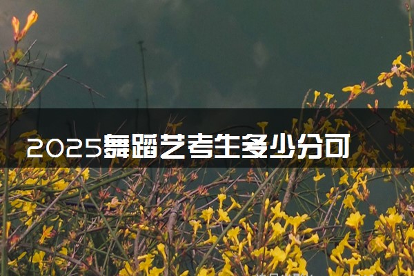 2025舞蹈艺考生多少分可以报咸阳职业技术学院