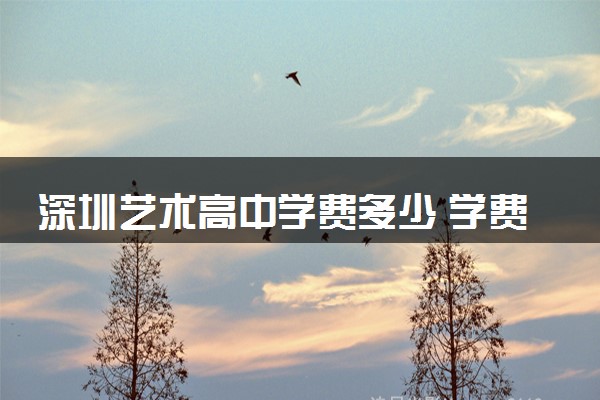 深圳艺术高中学费多少 学费贵不贵