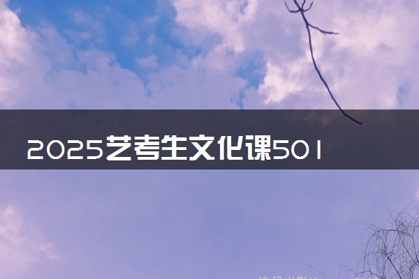 2025艺考生文化课501分能上中国石油大学(北京)吗