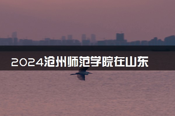 2024沧州师范学院在山东录取分数线 各专业分数及位次