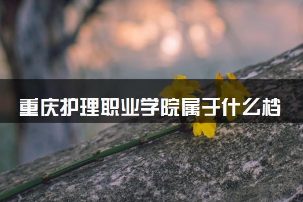 重庆护理职业学院属于什么档次 学校好不好