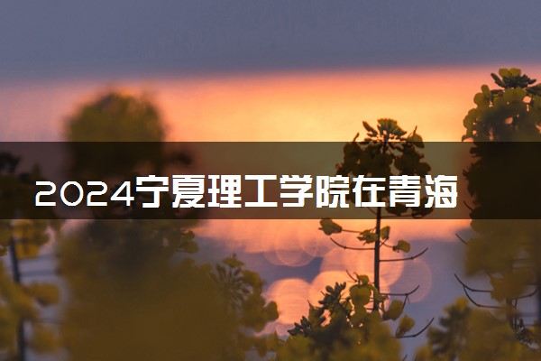 2024宁夏理工学院在青海录取分数线 各专业分数及位次