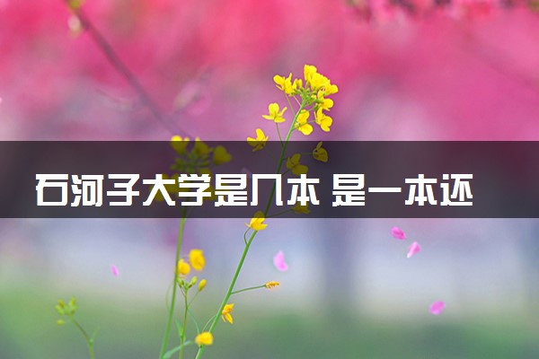 石河子大学是几本 是一本还是二本大学