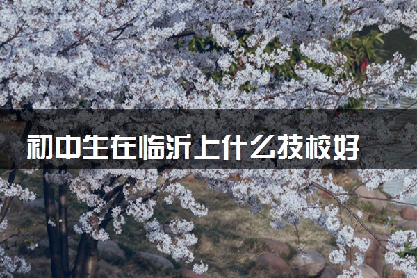 初中生在临沂上什么技校好