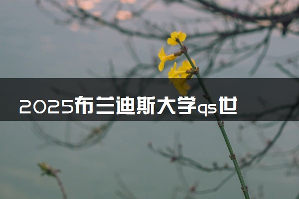 2025布兰迪斯大学qs世界排名第几 怎么考进去