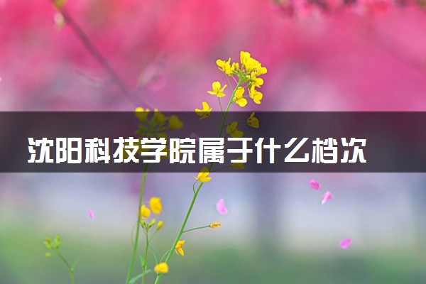 沈阳科技学院属于什么档次 学校好不好