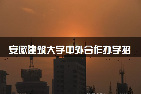 安徽建筑大学中外合作办学招生简章及专业计划（2025参考）