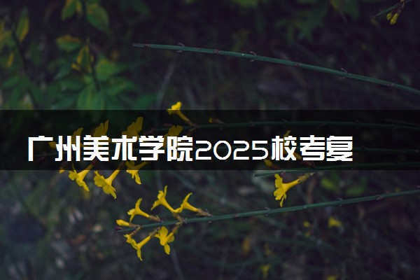 广州美术学院2025校考复试合格线公布 各专业分数线汇总