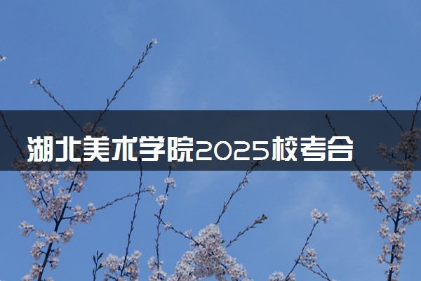 湖北美术学院2025校考合格线公布 各专业分数线汇总