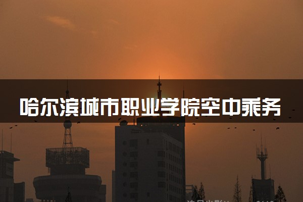 哈尔滨城市职业学院空中乘务（空姐、空哥、机场地勤、酒店管理）专业怎么样 录取分数线多少