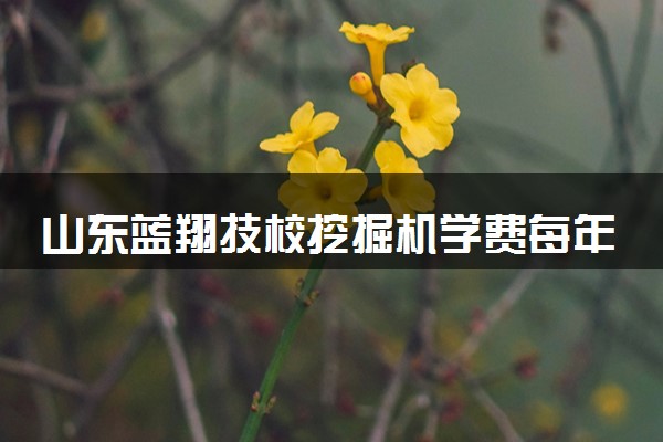 山东蓝翔技校挖掘机学费每年多少