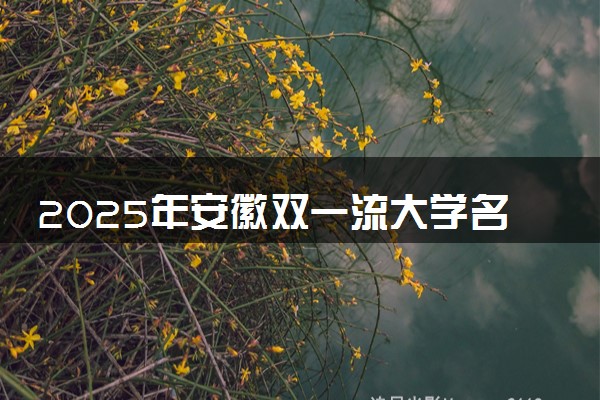 2025年安徽双一流大学名单及录取分数线 全国排名第几
