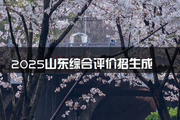 2025山东综合评价招生成绩查询时间几号 什么时候公布分数