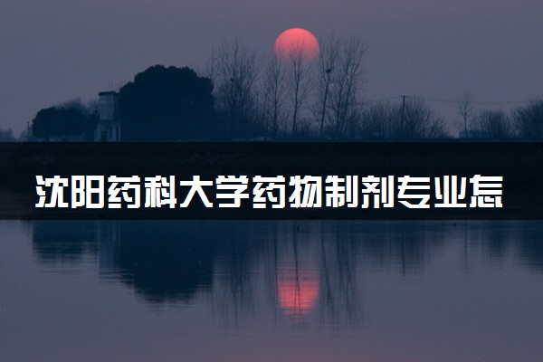 沈阳药科大学药物制剂专业怎么样 录取分数线多少