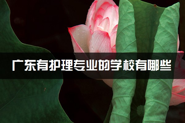 广东有护理专业的学校有哪些