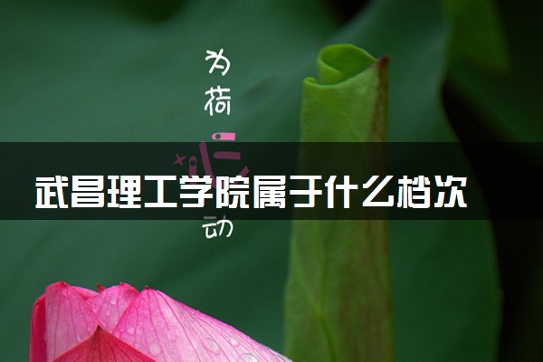 武昌理工学院属于什么档次 学校好不好
