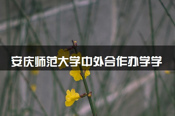 安庆师范大学中外合作办学学费多少 住宿费多少