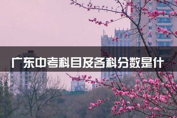 广东中考科目及各科分数是什么