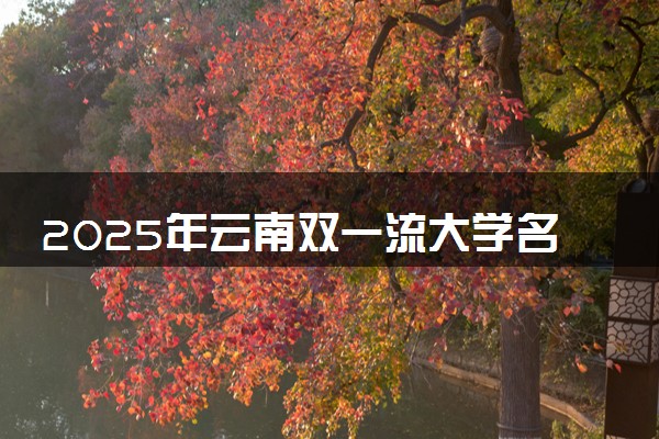 2025年云南双一流大学名单及录取分数线 全国排名第几