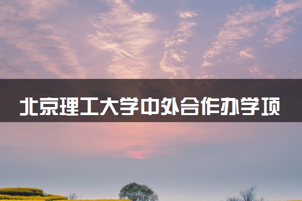 北京理工大学中外合作办学项目有哪些 要出国吗