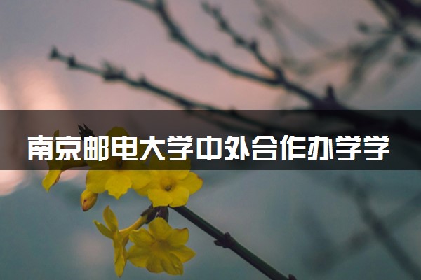 南京邮电大学中外合作办学学费多少钱 各专业收费标准
