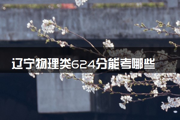 辽宁物理类624分能考哪些大学 2025考生稳上的大学名单