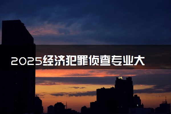 2025经济犯罪侦查专业大学排名及录取分数线