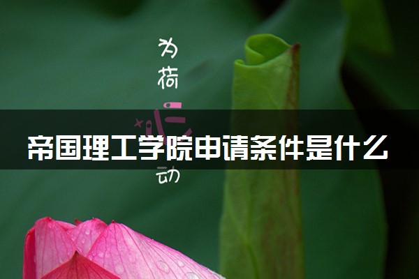 帝国理工学院申请条件是什么 好考吗