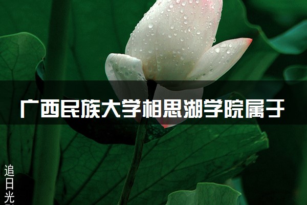 广西民族大学相思湖学院属于什么档次 学校好不好