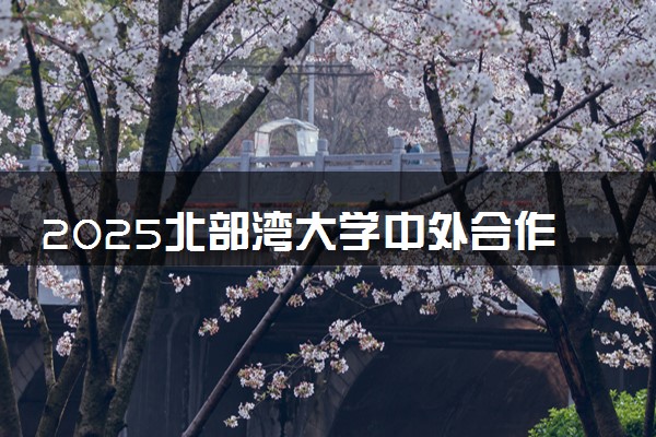 2025北部湾大学中外合作办学报名时间及录取条件