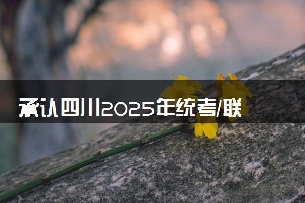 承认四川2025年统考/联考成绩院校名单汇总 有哪些专业