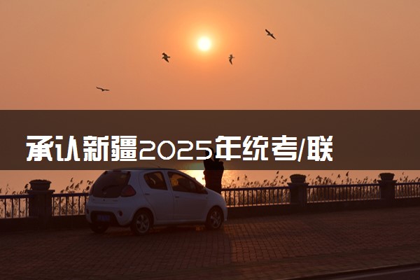 承认新疆2025年统考/联考成绩院校名单汇总 有哪些专业