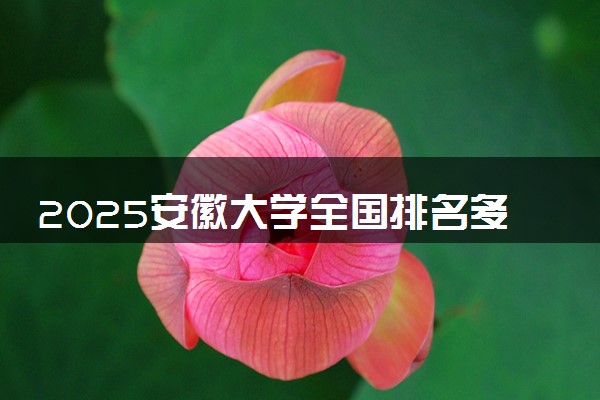 2025安徽大学全国排名多少位 国内第几名