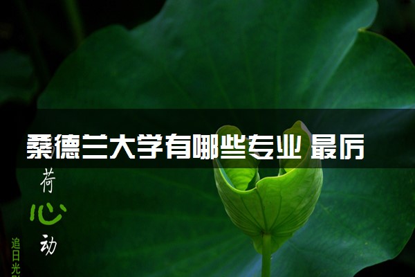 桑德兰大学有哪些专业 最厉害三个专业是什么