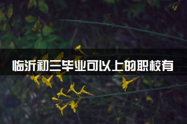 临沂初三毕业可以上的职校有哪些