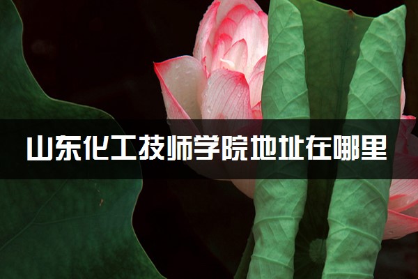 山东化工技师学院地址在哪里 怎么去