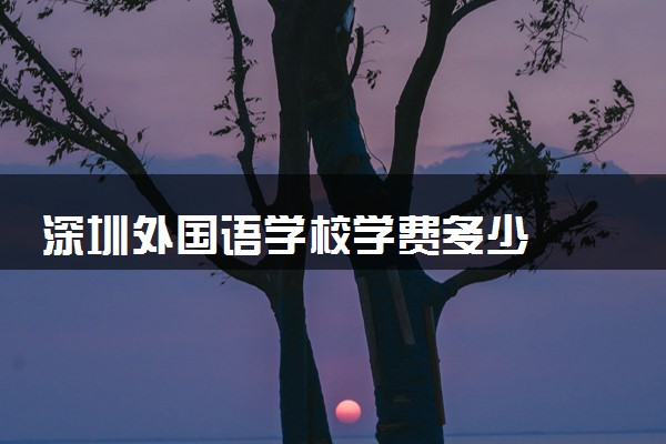 深圳外国语学校学费多少