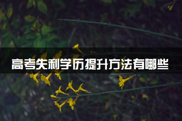 高考失利学历提升方法有哪些