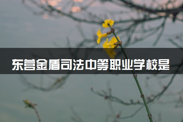 东营金盾司法中等职业学校是大专还是中专 靠谱吗