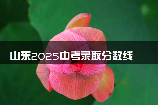 山东2025中考录取分数线预测 大概多少分