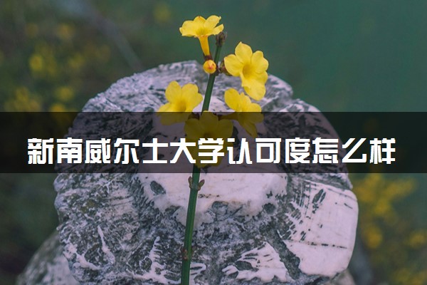 新南威尔士大学认可度怎么样 相当于国内什么大学