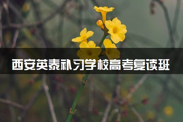西安英泰补习学校高考复读班怎么样