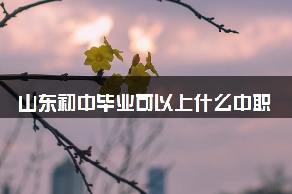 山东初中毕业可以上什么中职