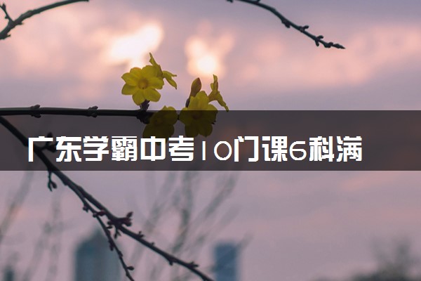 广东学霸中考10门课6科满分