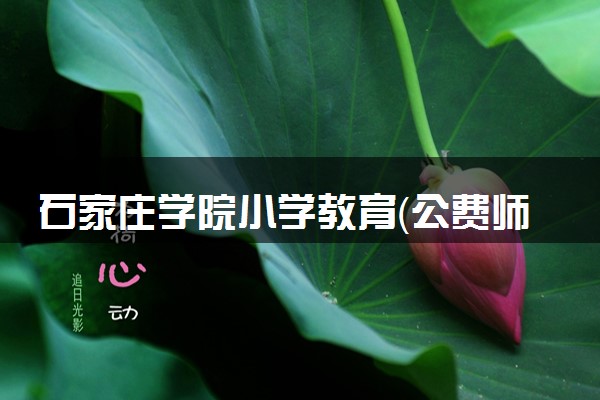 石家庄学院小学教育（公费师范生）专业怎么样 录取分数线多少