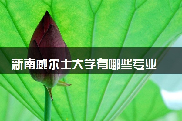 新南威尔士大学有哪些专业 最厉害三个专业是什么