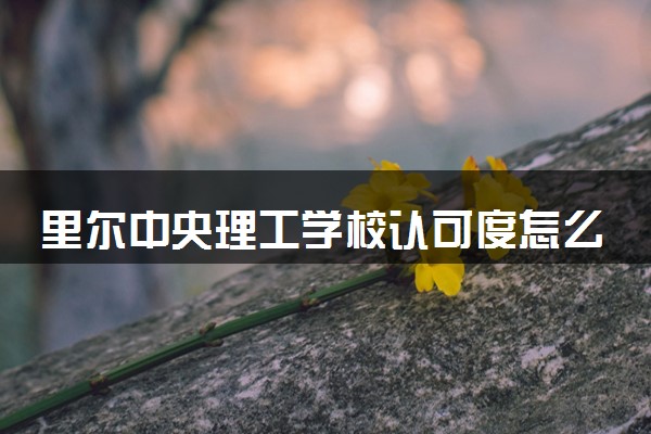 里尔中央理工学校认可度怎么样 相当于国内什么大学