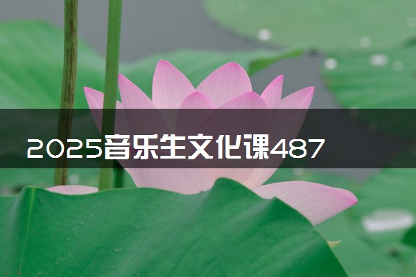 2025音乐生文化课487分能上东华大学吗